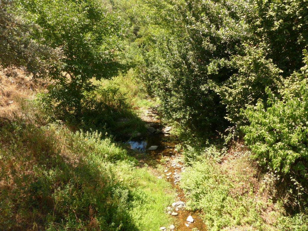 Aspecto del cauce de la reserva natural fluvial Rivera de Huelva en un tramo estrecho con poco caudal y algunas pozas