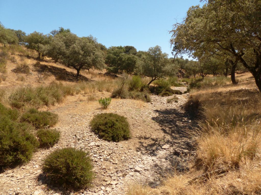 La reserva natural fluvial Río Guadalora en su tramo alto durante la época de estiaje