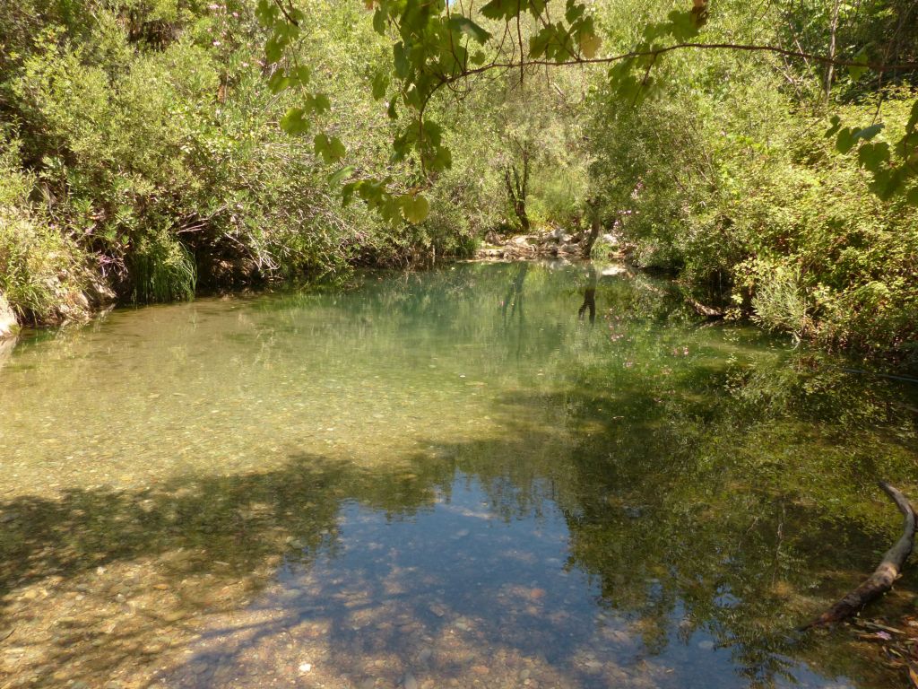 Vegetación de ribera de la reserva natural fluvial Río Guadalora