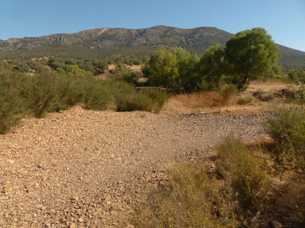 Aspecto de la ribera de la reserva natural fluvial Río Montoro en época de estiaje