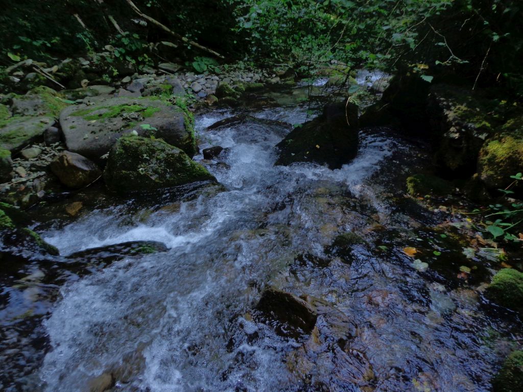 Sucesión de rápidos en la reserva natural fluvial Nacimiento del río Naviego