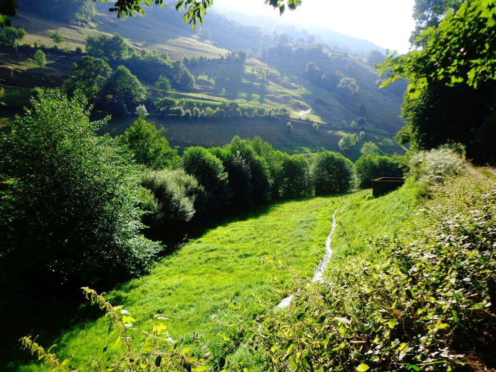 Vista panorámica de un tramo de la reserva natural fluvial Nacimiento del río Naviego