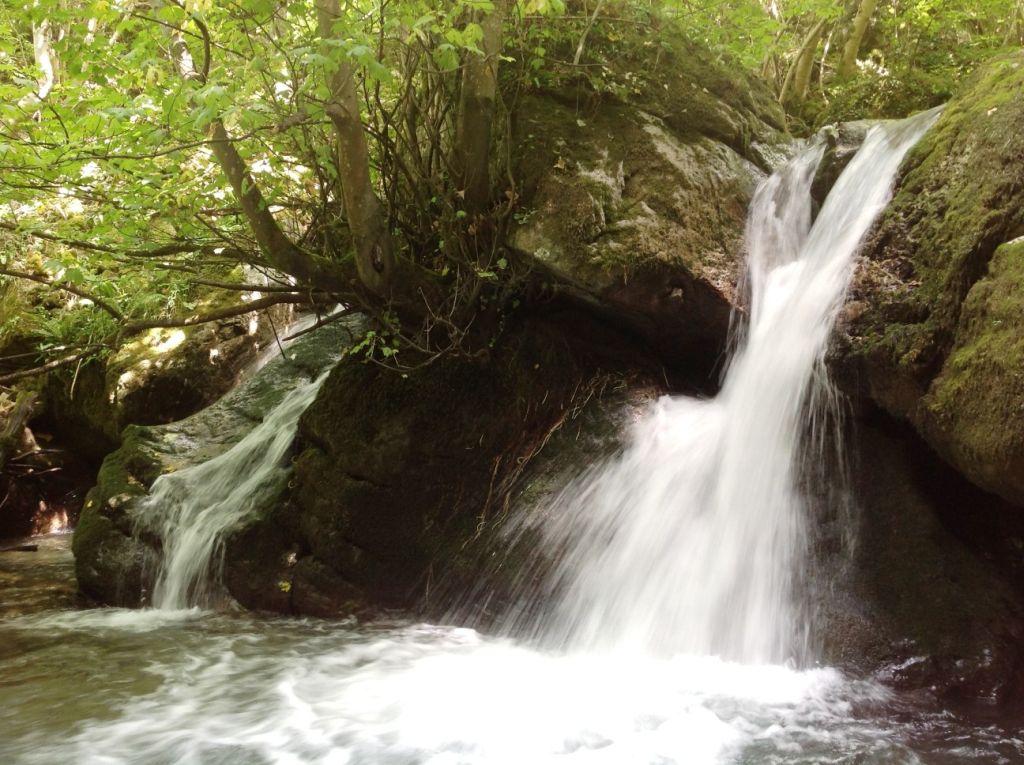 Pequeña cascada en la reserva natural fluvial Cabecera del río Somiedo y río Saliencia