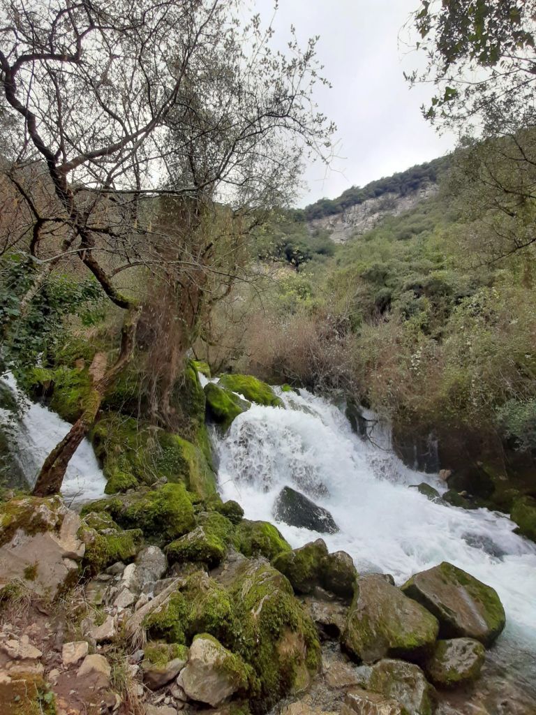 Fuentes en el cauce del río Cadagua ( La Cencerrona)