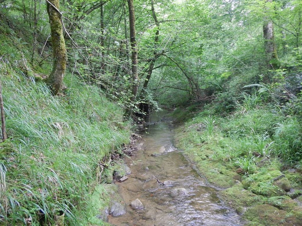 Tramo de cauce encajado en la reserva natural fluvial Cabecera del río Altube