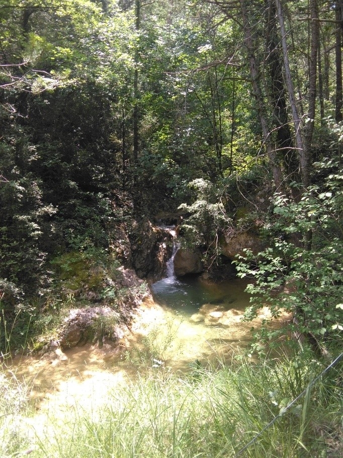 Reserva Natural Fluvial Cabecera de Peguera