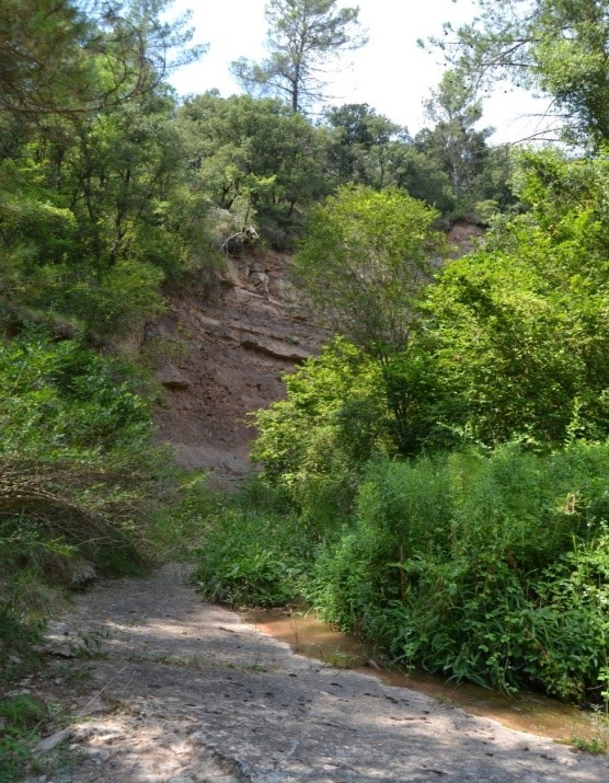 Reserva Natural Fluvial Cabecera de la Riera de Malrubí