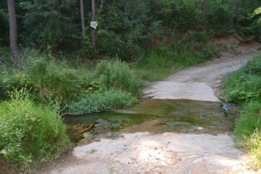 Reserva Natural Fluvial Cabecera de la Riera de Oló