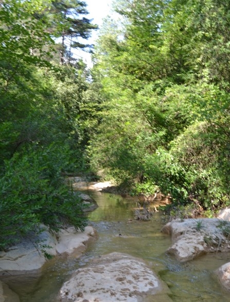 Reserva Natural Fluvial Cabecera de la Riera de la Portella