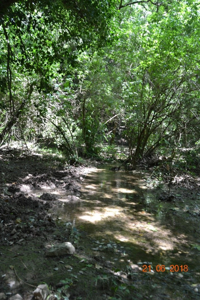 Reserva Natural Fluvial Gorgues del Foix
