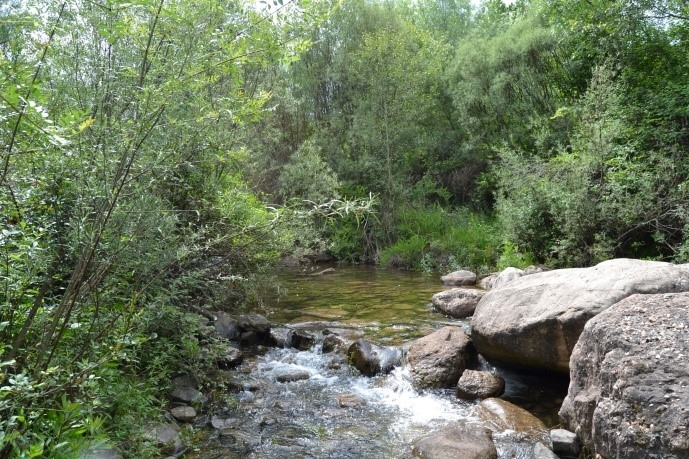 Reserva Natural Fluvial Río Brugent