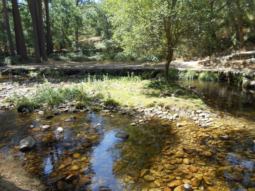 Isla en la reserva natural fluvial Alto Eresma. El lecho del río presenta un sedimento grueso predominante en el tramo
