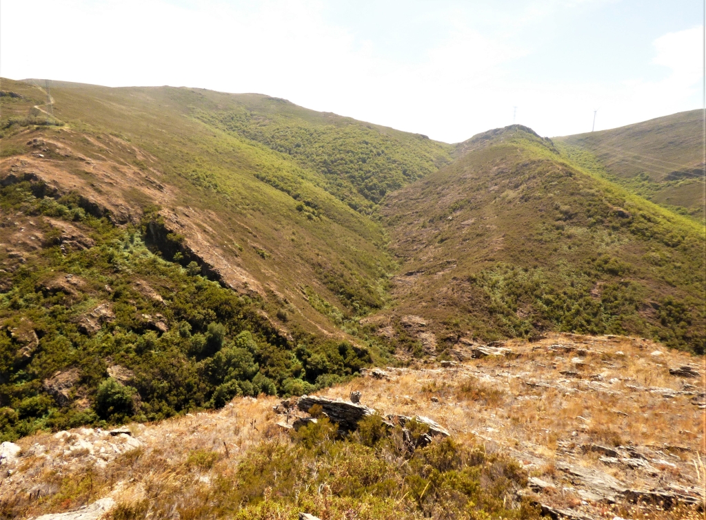 Reserva Natural Fluvial del Río Ulla-Deza. Zona: Río Grovas