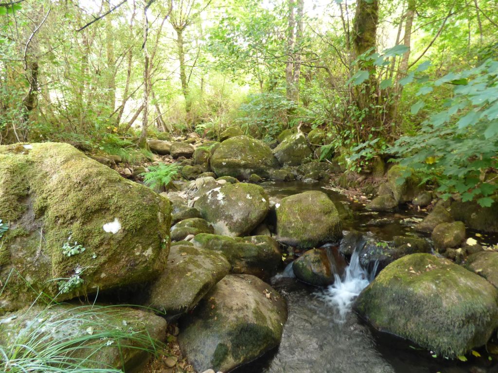 Salto en la reserva natural fluvial Río Trancoso