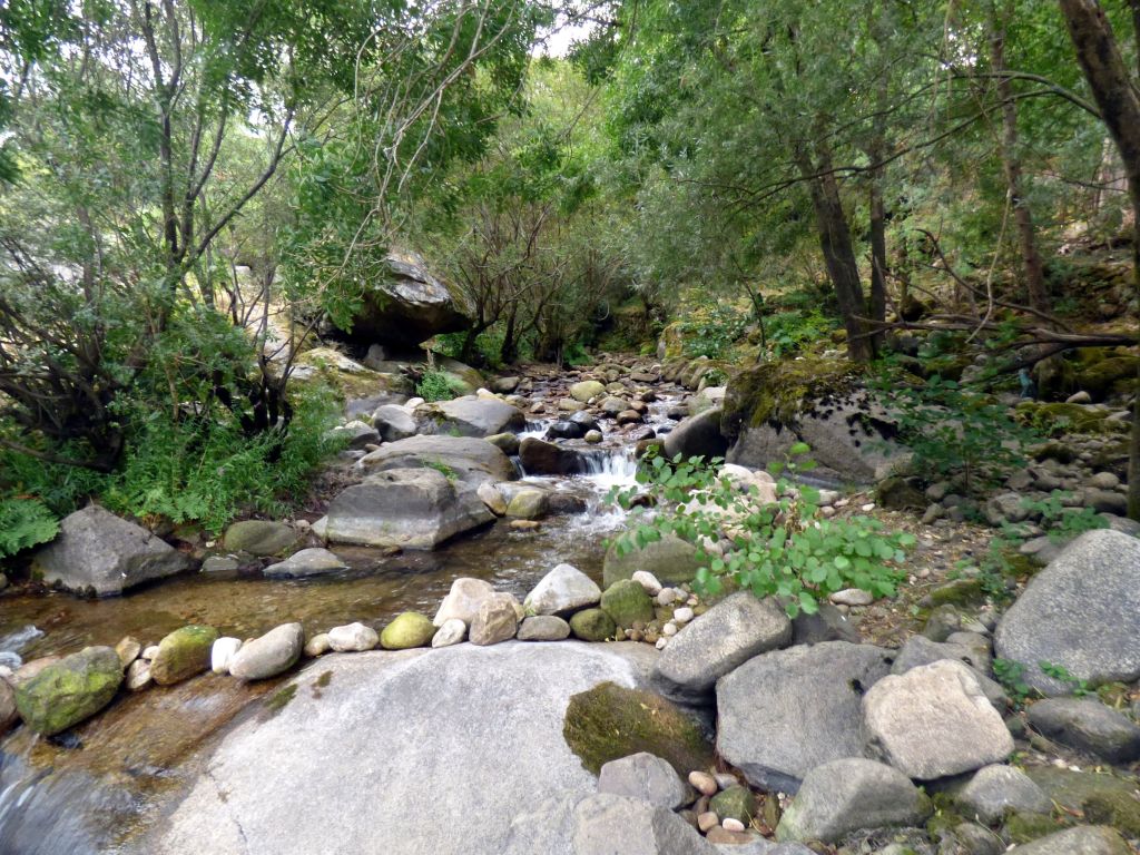 Vista del cauce de la reserva natural fluvial Río Trancoso