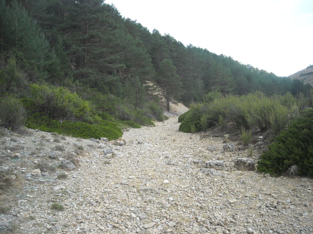 Impresionante paisaje de rambla en la reserva natural fluvial Rambla de la Sarguilla