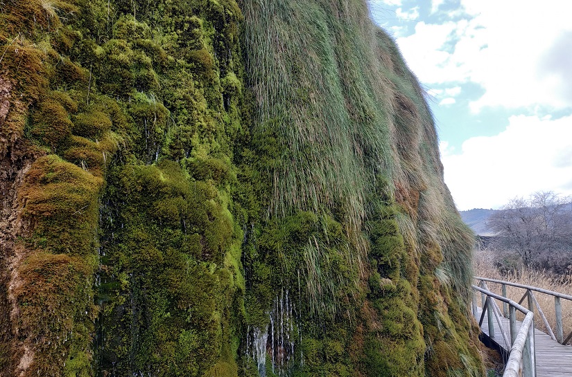 Actuaciones para la gestión de las aguas subterráneas y los ecosistemas asociados ante el impacto del cambio climático