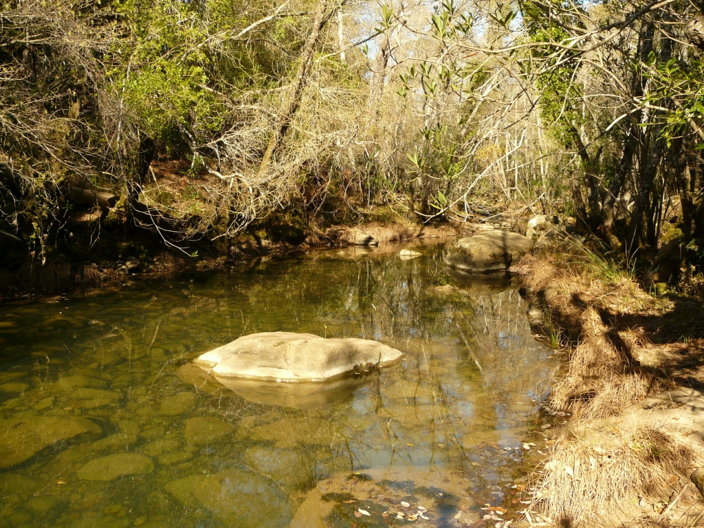 Reserva Natural Fluvial Alto Hozgarganta