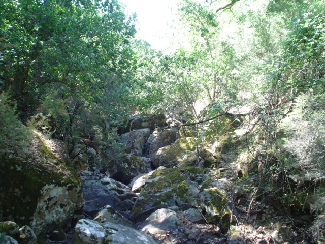 Reserva Natural Fluvial Arroyo del Puerto de los Negros