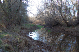 Reserva Natural Fluvial, río Milagro