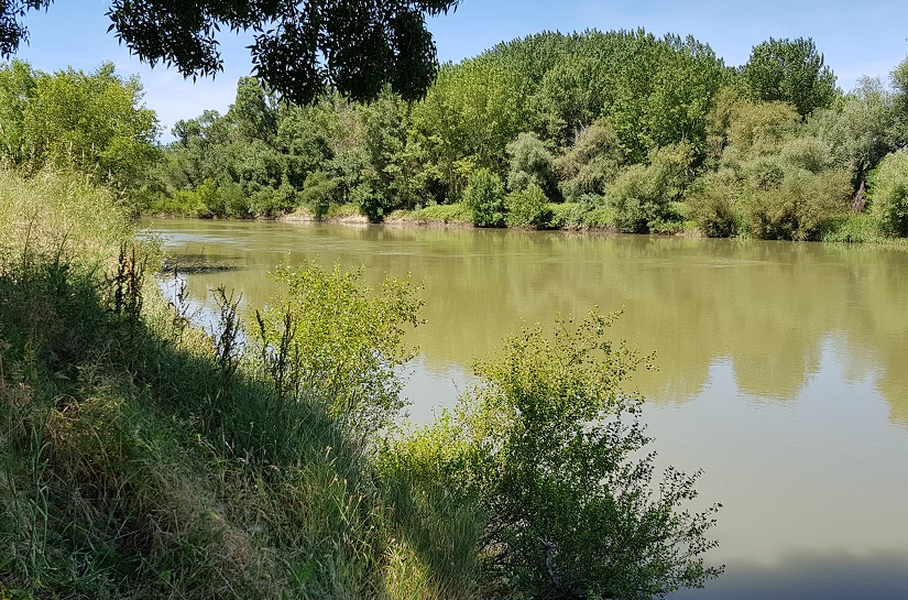 El río Ebro (Alfaro)