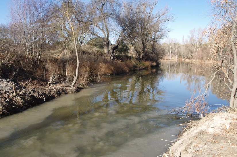 Entrada nuevo brazo Río Manzanares en El Pardo-Arroyo Trofa