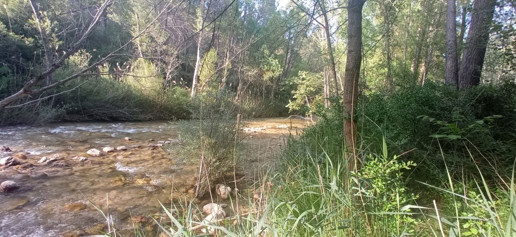 Fuente del Arroyo de San Agustín