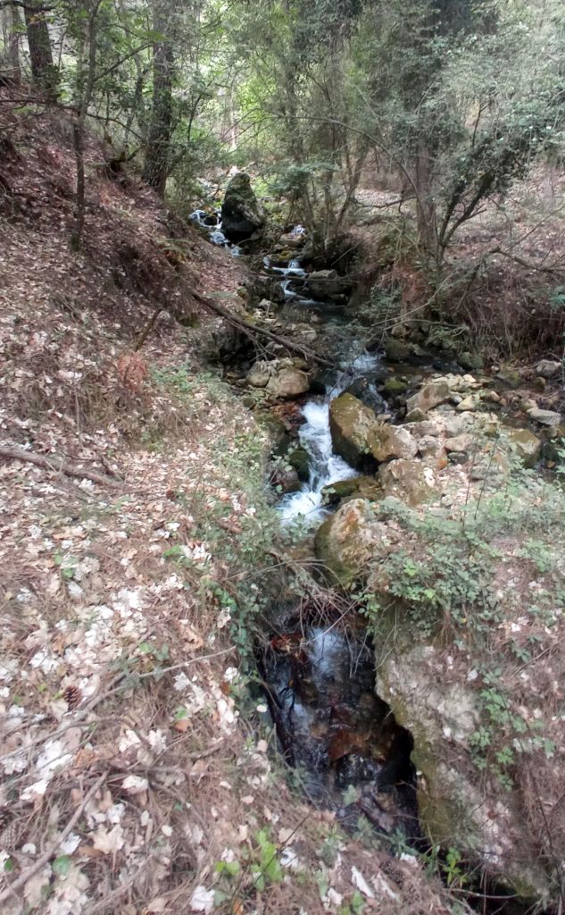 Río Tus tras aguas abajo del aporte del Arroyo Bravo.