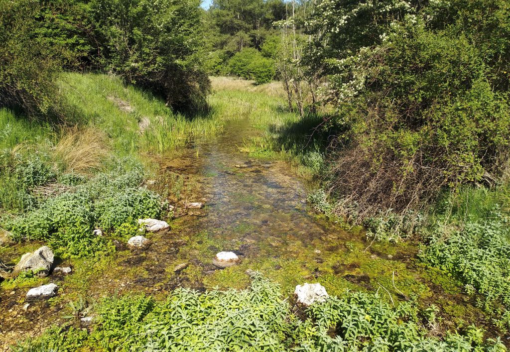 Nacimiento del río Huécar