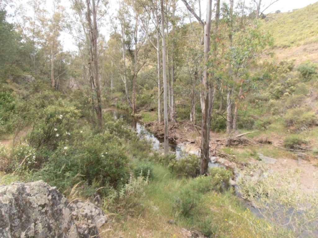 Reserva Natural Fluvial Arroyo de Clarina