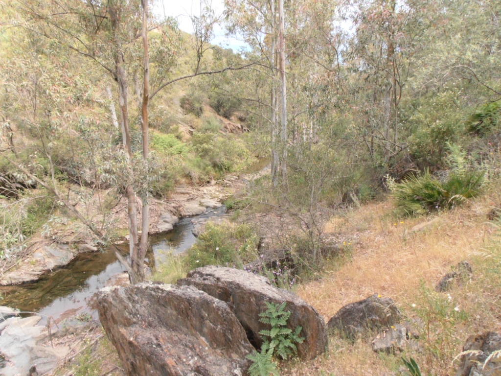 Reserva Natural Fluvial Arroyo de Clarina