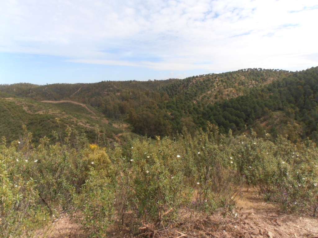 Reserva Natural Fluvial Arroyo de Clarina