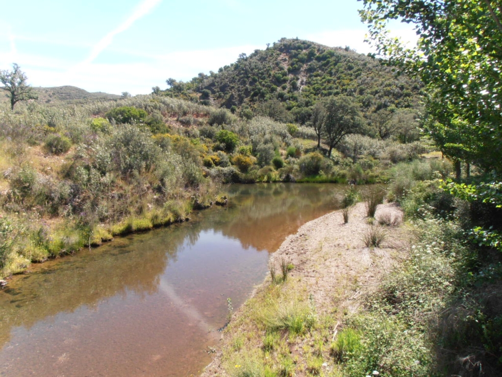 Reserva Natural Rivera del Coladero