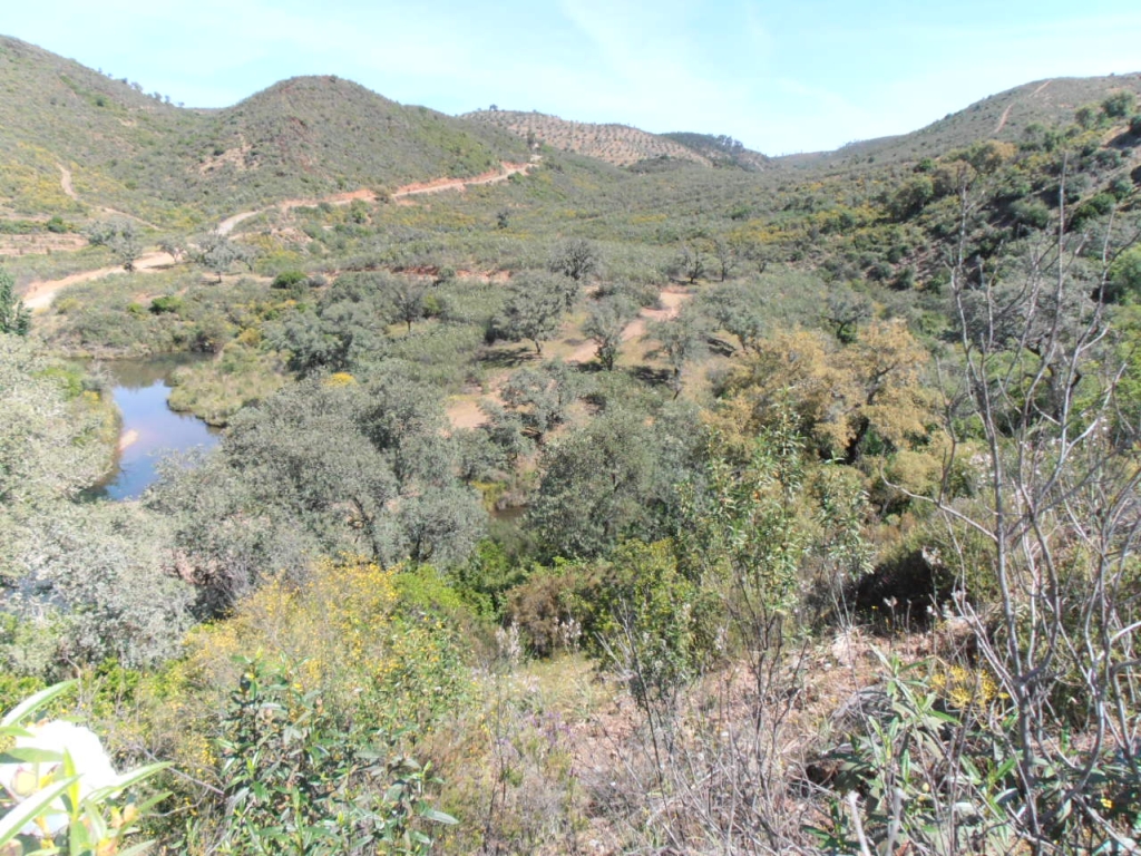 Reserva Natural Rivera del Coladero