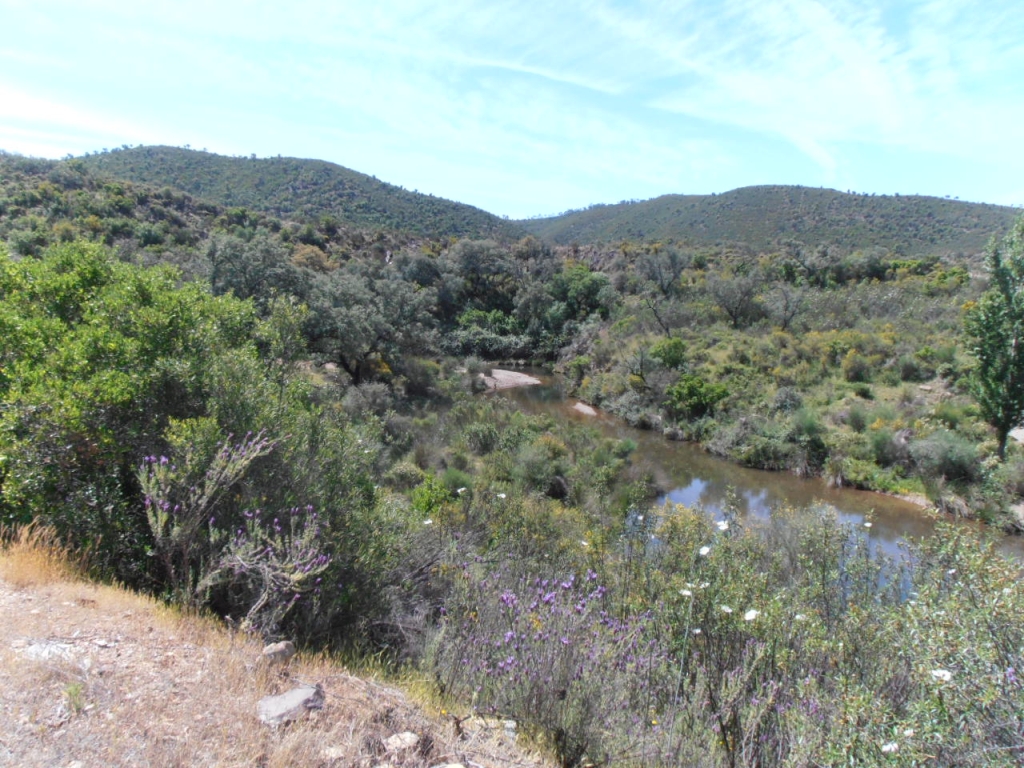 Reserva Natural Rivera del Coladero