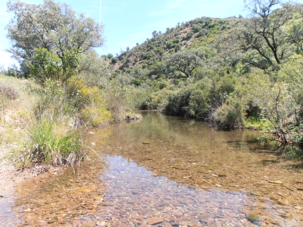 Reserva Natural Rivera del Coladero