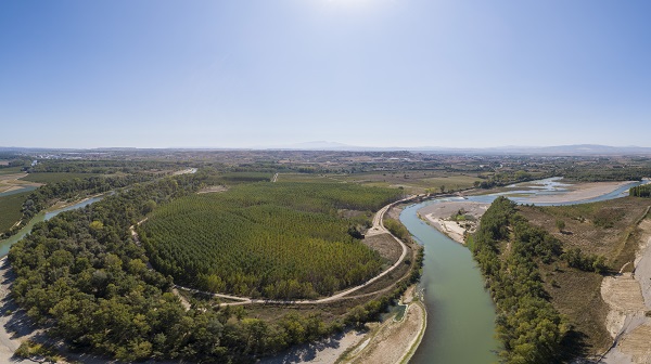 Imagen de la zona de actuación en el paraje El Estajao