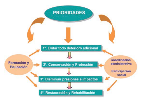 Prioridades-actuacion