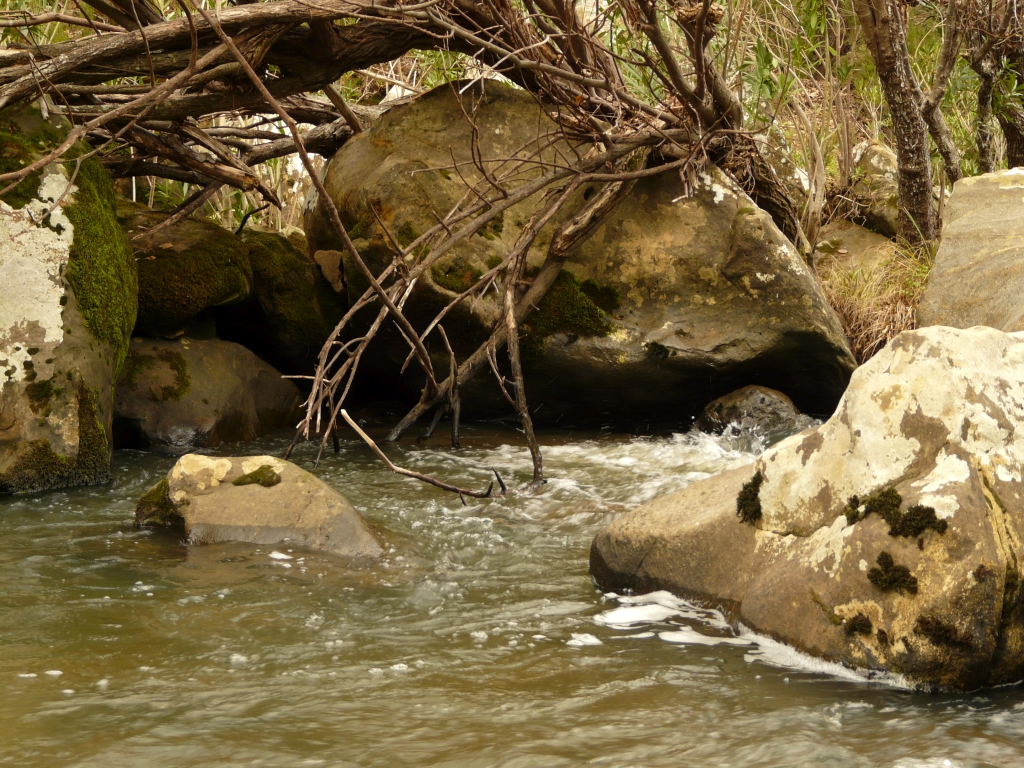 Reserva Natural Fluvial Los Codos