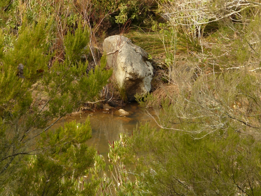 Reserva Natural Fluvial Los Codos