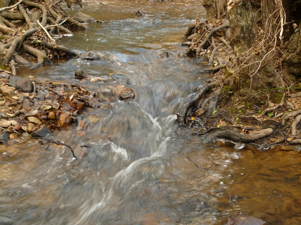 Reserva Natural Fluvial Los Codos