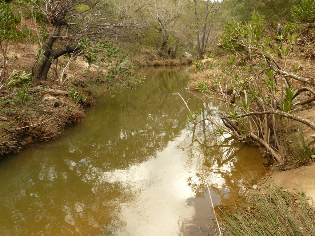 Reserva Natural Fluvial Los Codos