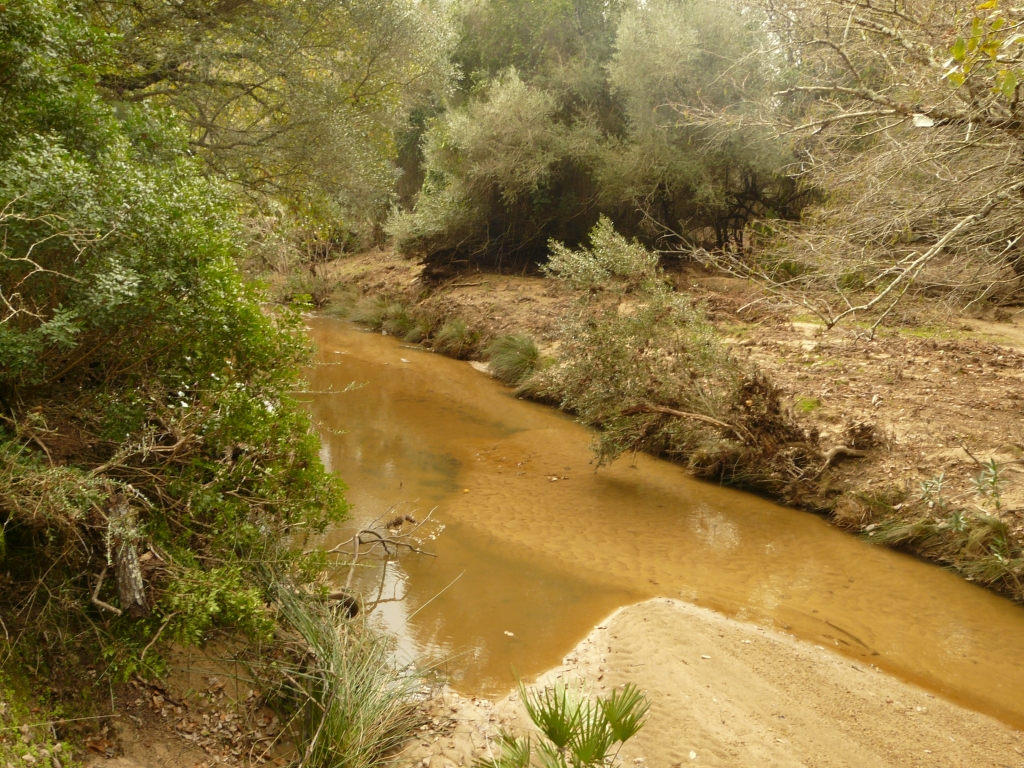 Reserva Natural Fluvial Los Codos