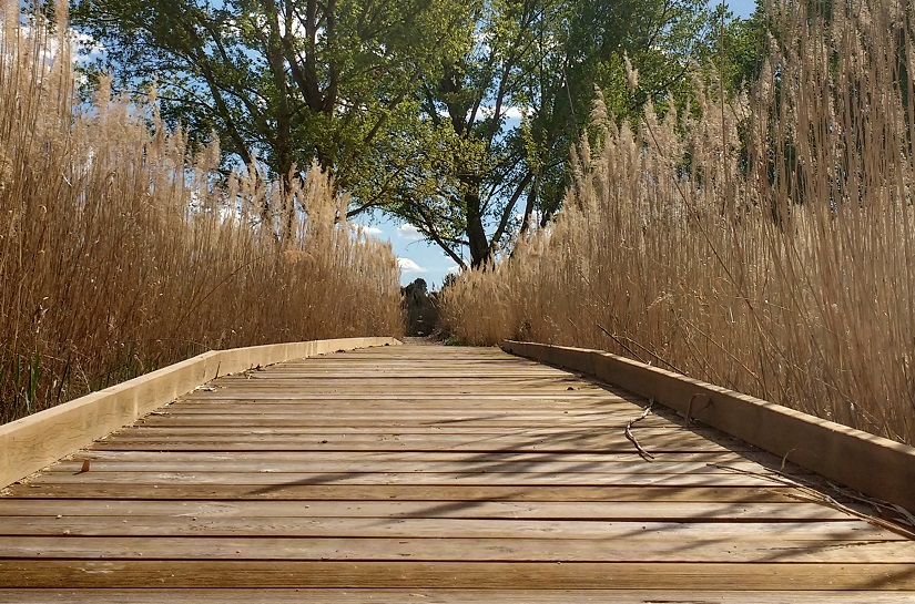 Senda-peatonal-Laguna-Lucía