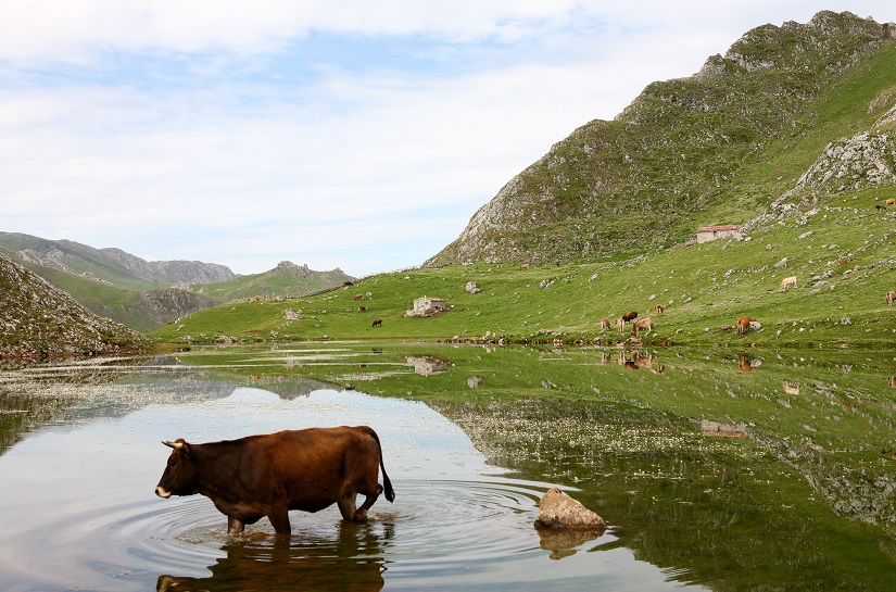 Protección de las aguas frente a los nitratos y pesticidas