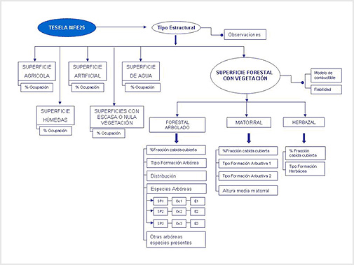 Modelo conceptual del MFE25