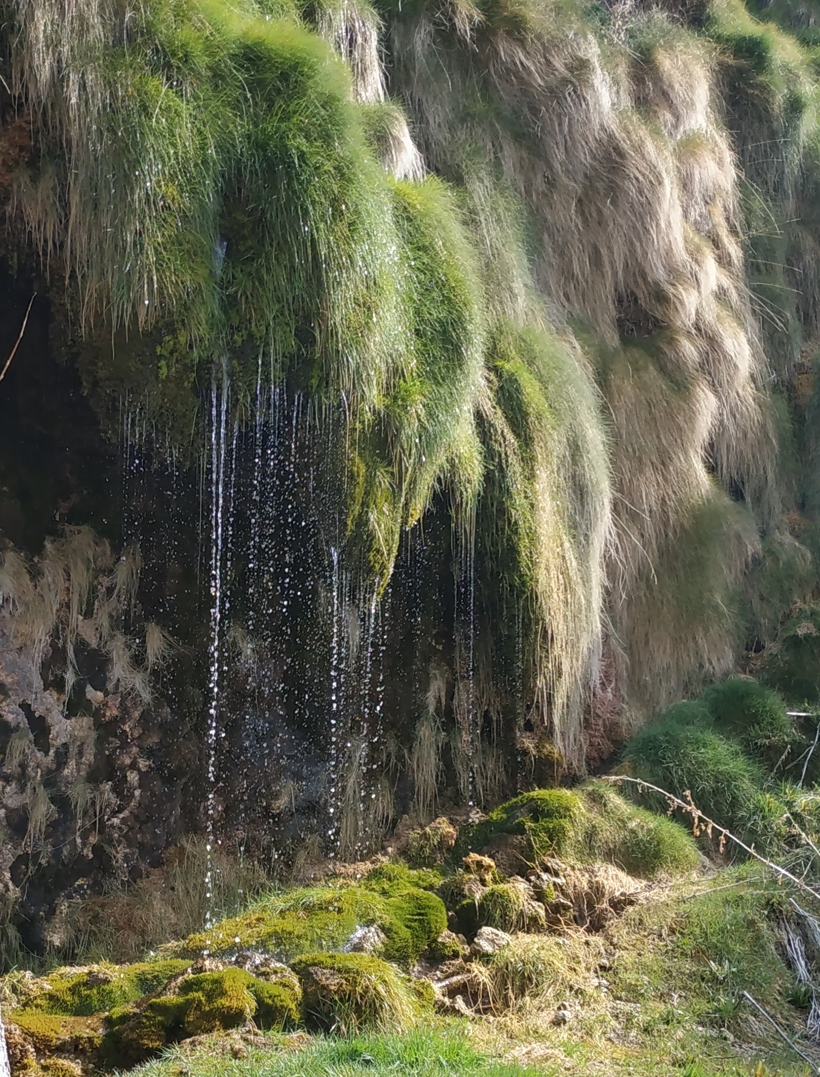 Imagen Reservas Naturales Fluviales declaradas