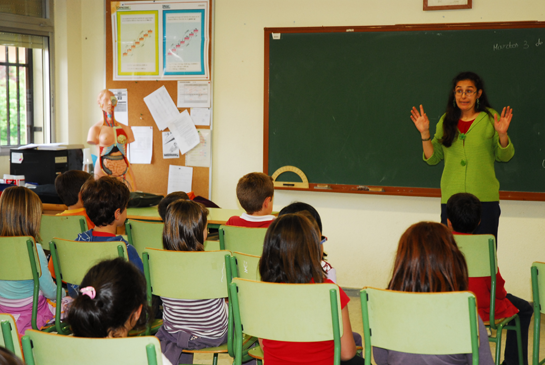 El cuento "El árbol de la esquina" para los alumnos de primaria