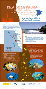 Panel 8. Isla de La Palma (Islas Canarias, España)