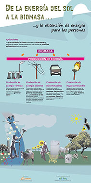 Panel 6. La gran cantidad de tipos de biomasa y de procesos de obtención de energía dan como resultado distintas aplicaciones para producir energía.